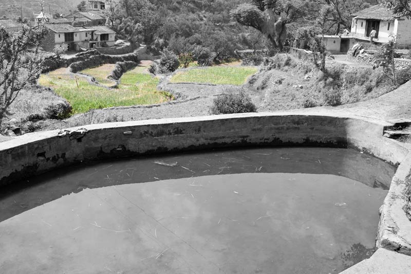 Traditional science for irrigation in India - Irrigated fields located downstream of a Chahal in Tehri Garhwal, Uttarakhand - Chahal is a multi-purpose protected spring